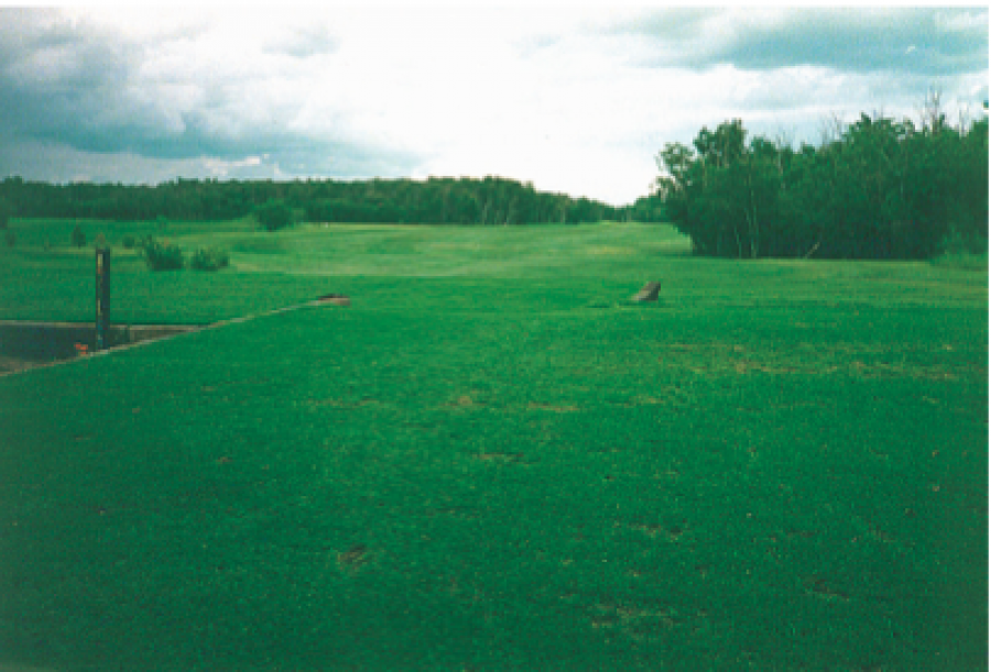 Daysland Golf and Country Club