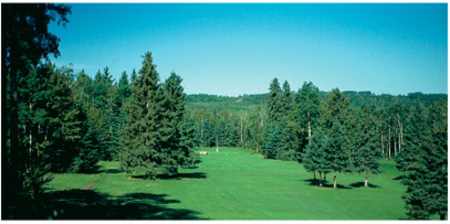 Spirit Creek Golf and RV Resort