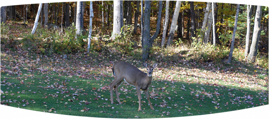 Glengarry Golf and Country Club